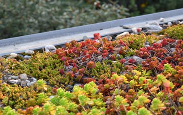the cost of Rowde green roof installation