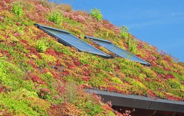 Rowde living roof systems
