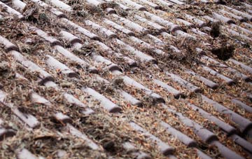 Rowde roof cleaning companies