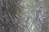 Rowde fibreglass roof work